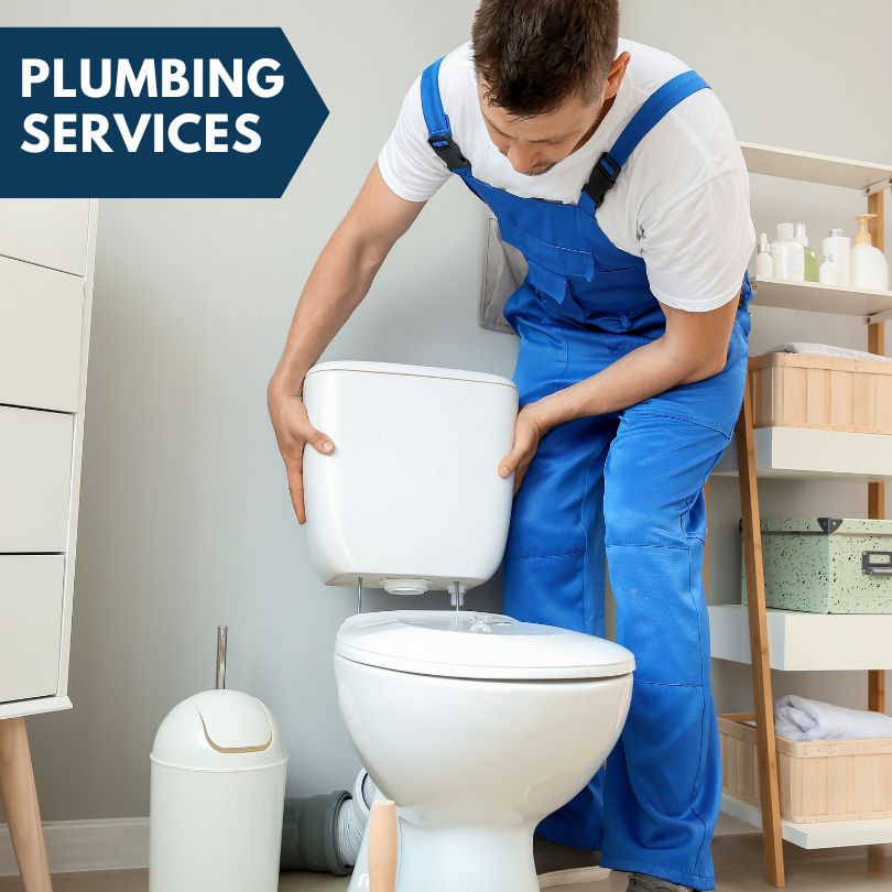 Plumbing Company in Laingsburg, MI